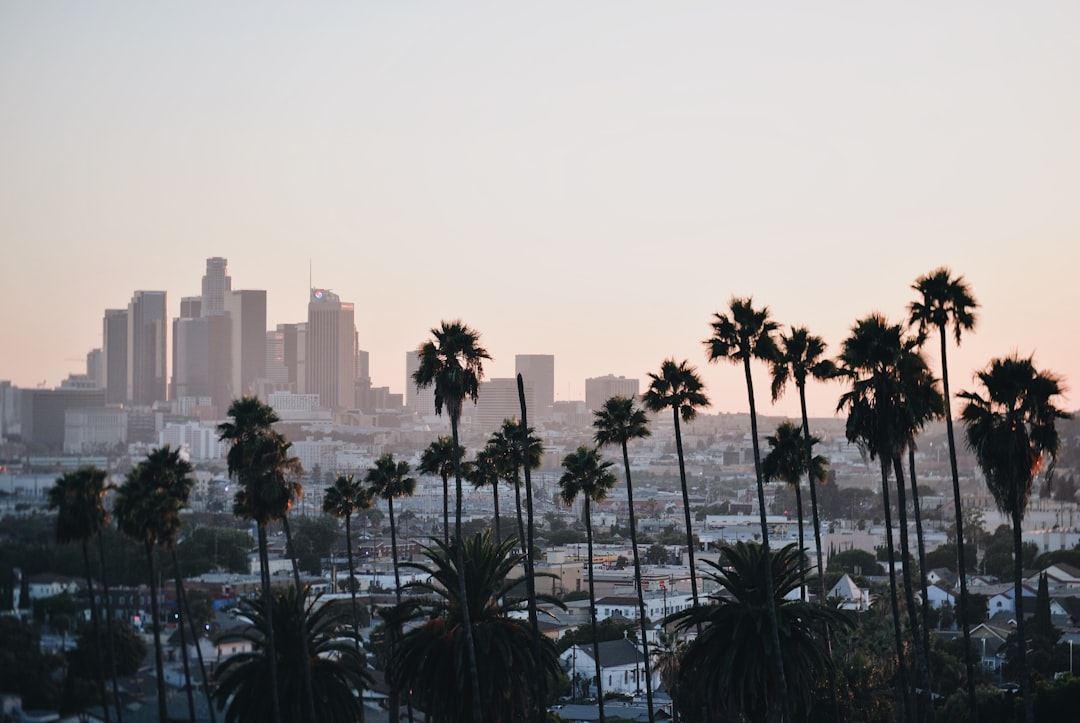 Mejores apps de viaje 2026: 5 imprescindibles en Los Ángeles - Los Angeles | Secret World Trip Planner