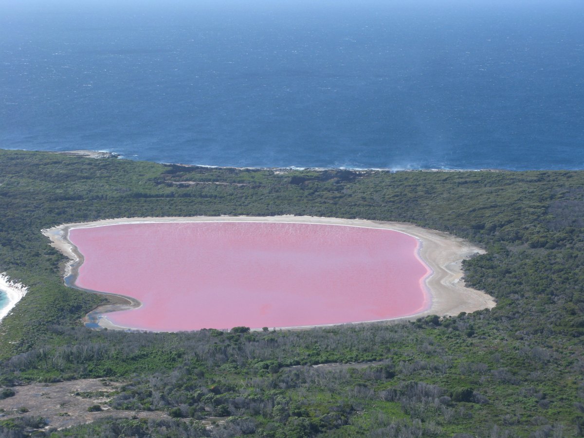 Lago Hillier : le lac rose d'Australie Occidentale - Lago Hillier | Secret World Trip Planner