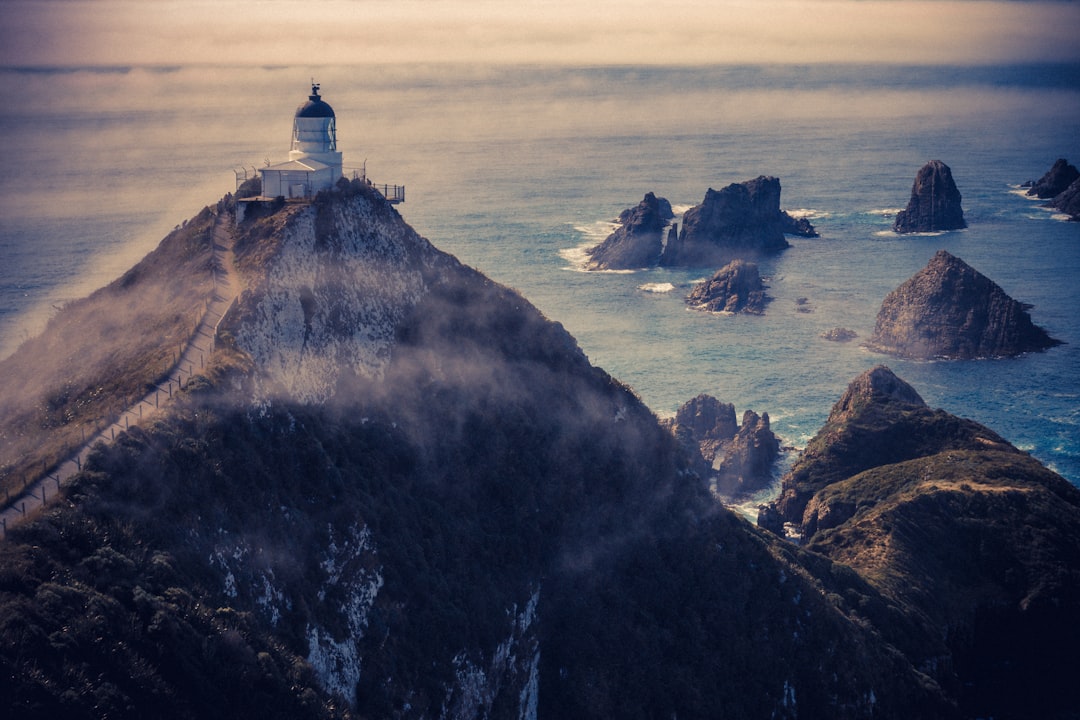 Nugget Point: The Wild Lighthouse of the Catlins — The Nuggets Road