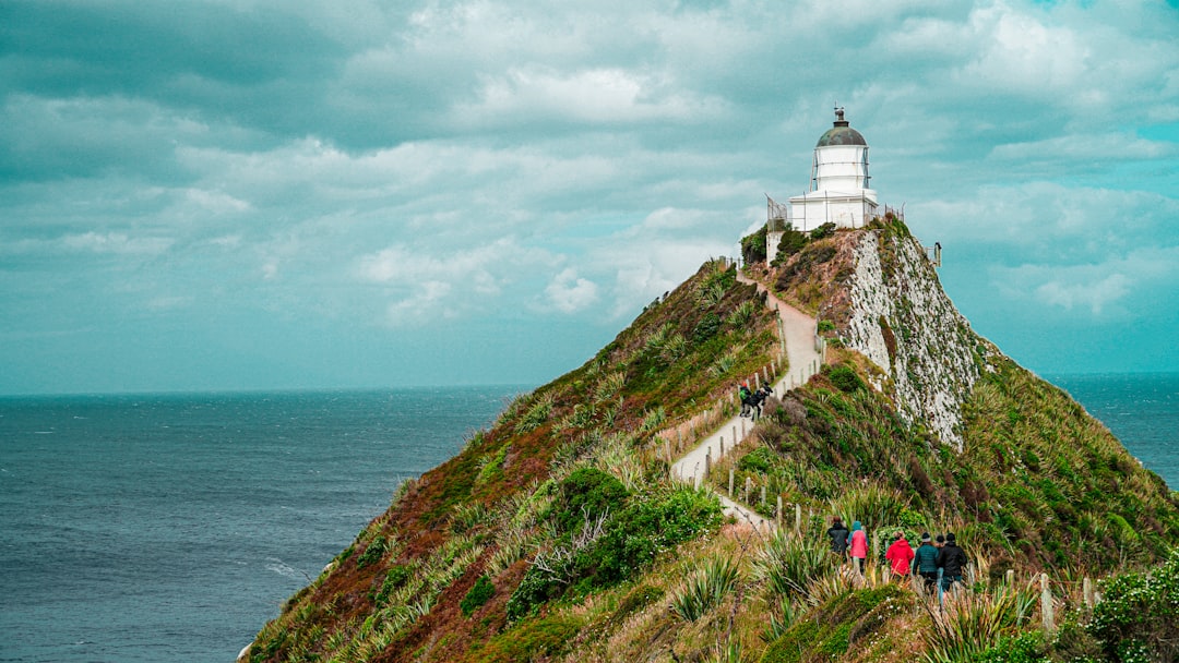Nugget Point : le phare sauvage des Catlins - The Nuggets Road | Secret World Trip Planner