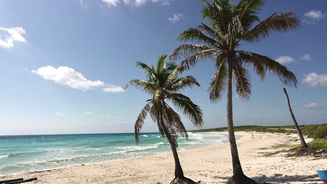 Punta Sur: la punta selvaggia di Cozumel - 77600 Cozumel | Secret World Trip Planner