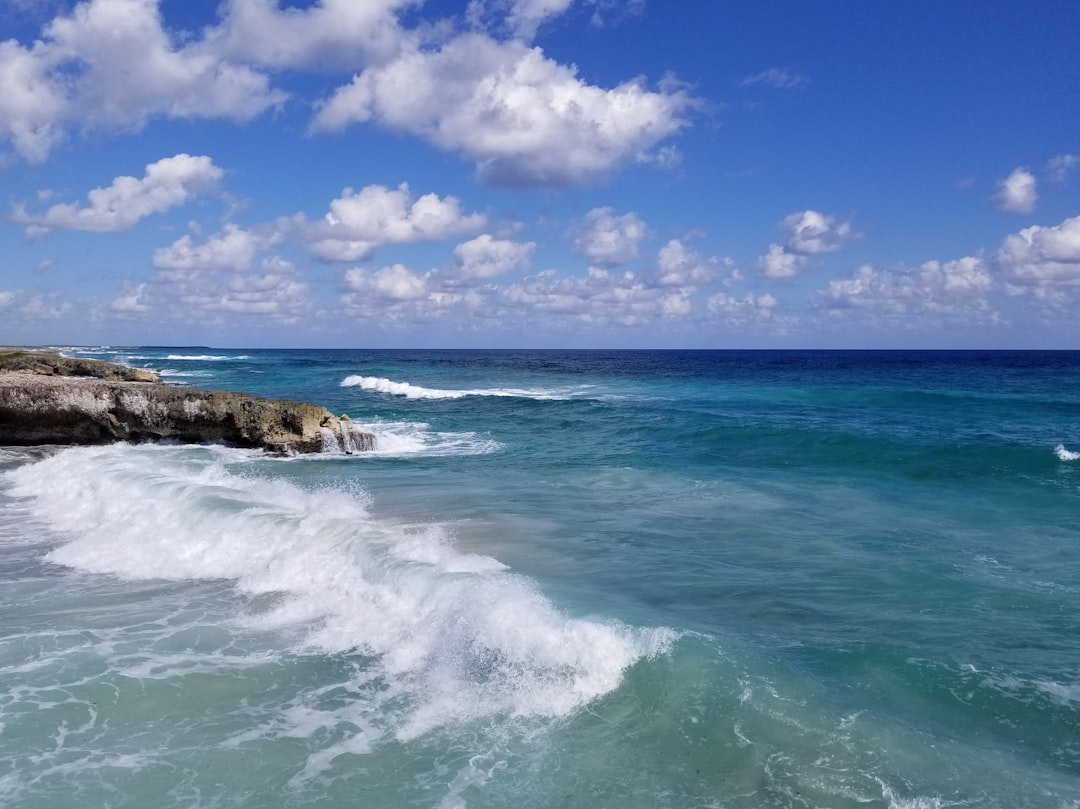 Punta Sur: la punta selvaggia di Cozumel - 77600 Cozumel | Secret World Trip Planner
