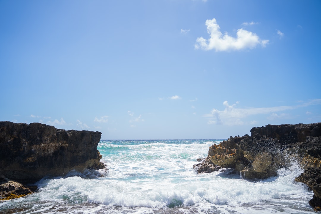 Punta Sur: Cozumel's Wildest Point Awaits You - 77600 Cozumel | Secret World Trip Planner