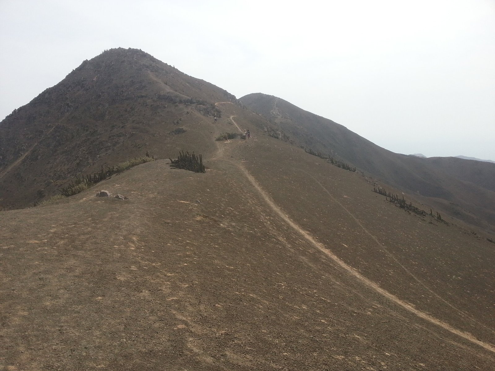 Discover Loma Zapallal: A Natural Paradise in Peru - Cabo Inga | Secret World Trip Planner