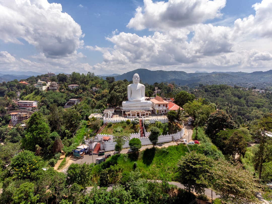 Maligawila Buddha Statue: A Masterpiece of Sri Lanka's History — Okkampitiya