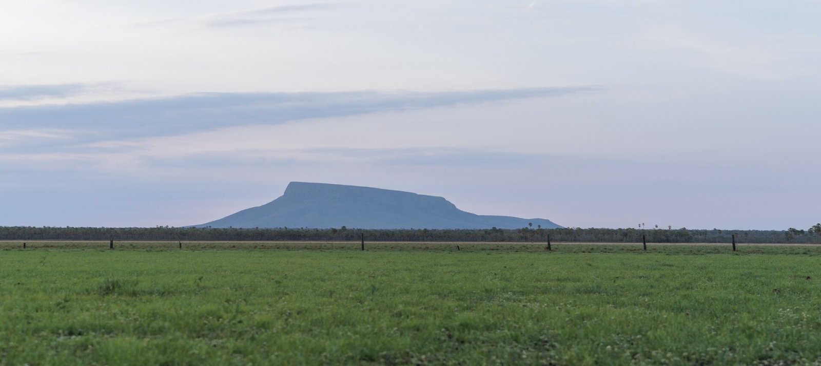 Cerro San Miguel : un coin de nature préservée en Bolivie - Calacruz | Secret World Trip Planner
