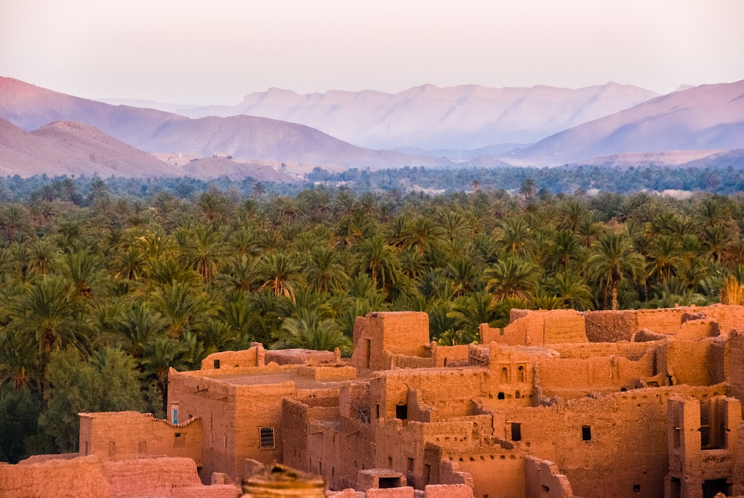 Découvrez Djebel Kissane : un coin de nature au Maroc — PH4X+2F Taliouine