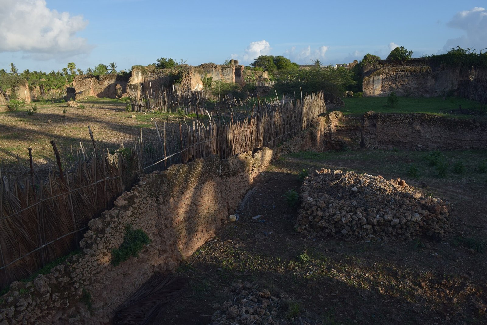 Scopri Pate, la storica gemma del Kenya — Pate