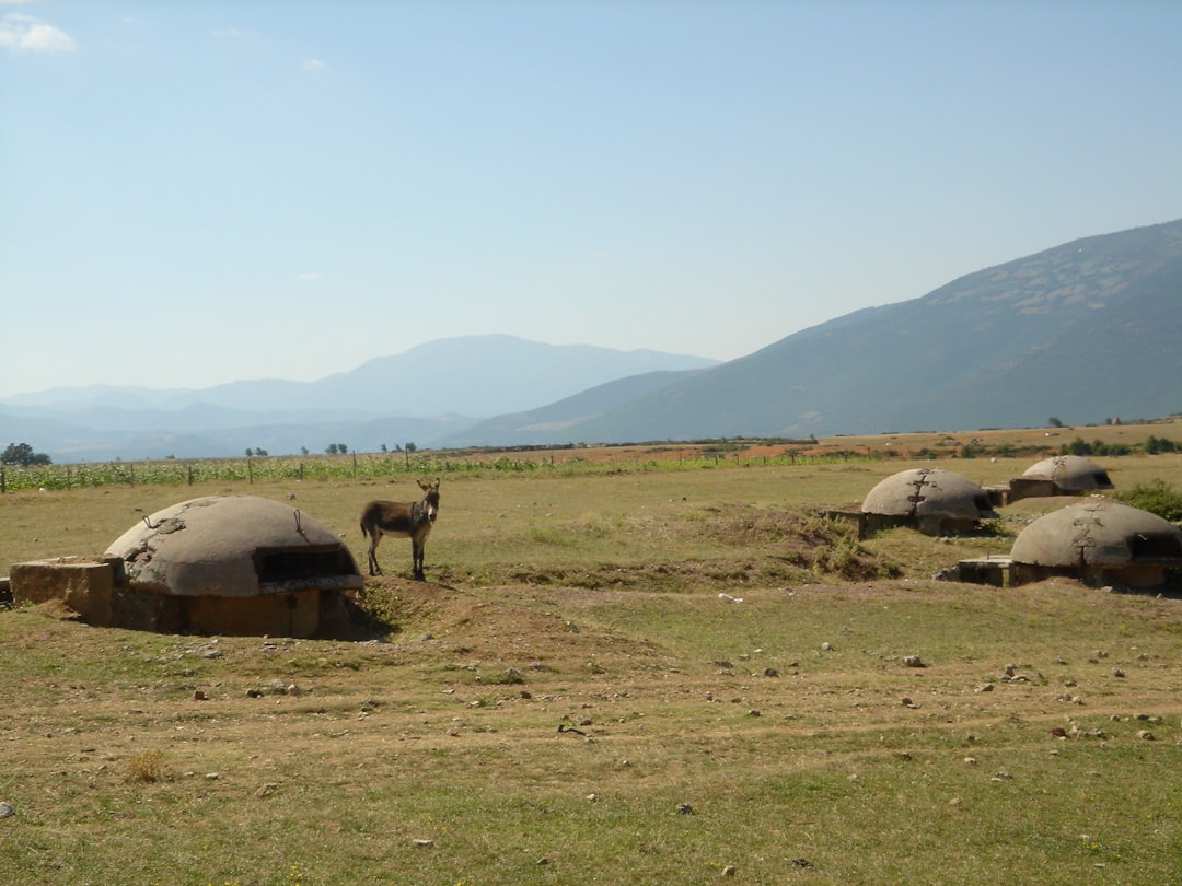 Scoprire il Bunker: Storia e Cultura in Albania — Tiranë