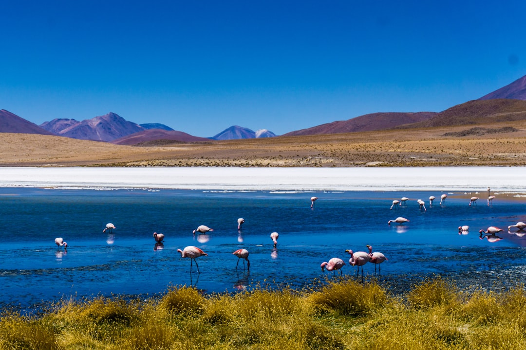 Descubre la Familia Chiquitana: Un tesoro cultural de Bolivia — Santa Cruz de la Sierra