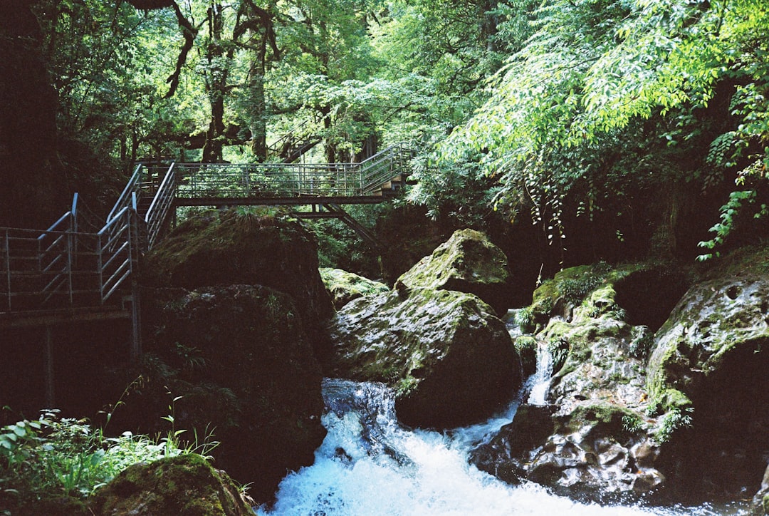 Gola di Vintgar: natura selvaggia vicino a Bled - Podhom 80 | Secret World Trip Planner