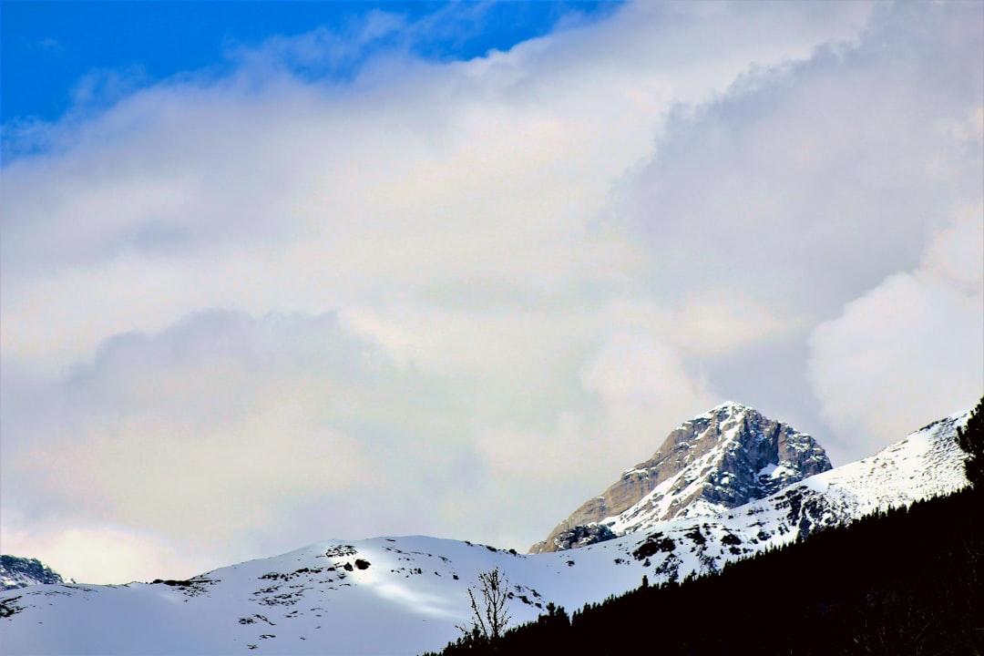 Kananaskis Trail: Alpenwege zwischen Bären und Seen - Kananaskis | Secret World Trip Planner