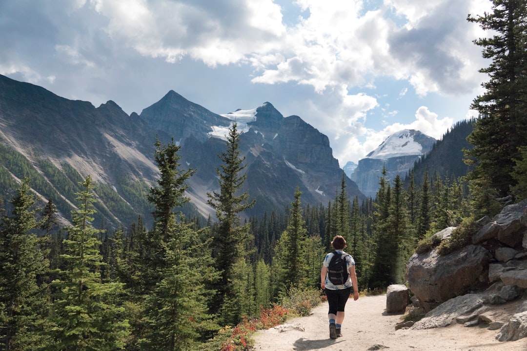 Kananaskis Trail: Alpenwege zwischen Bären und Seen - Kananaskis | Secret World Trip Planner