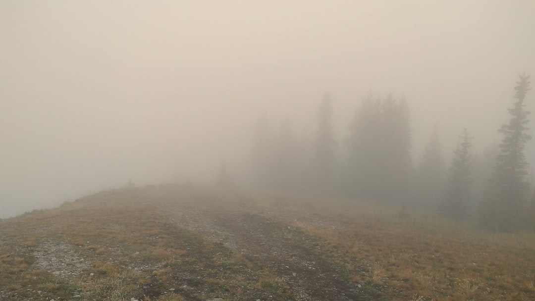 Kananaskis Trail: senderos alpinos entre osos y lagos - Kananaskis | Secret World Trip Planner