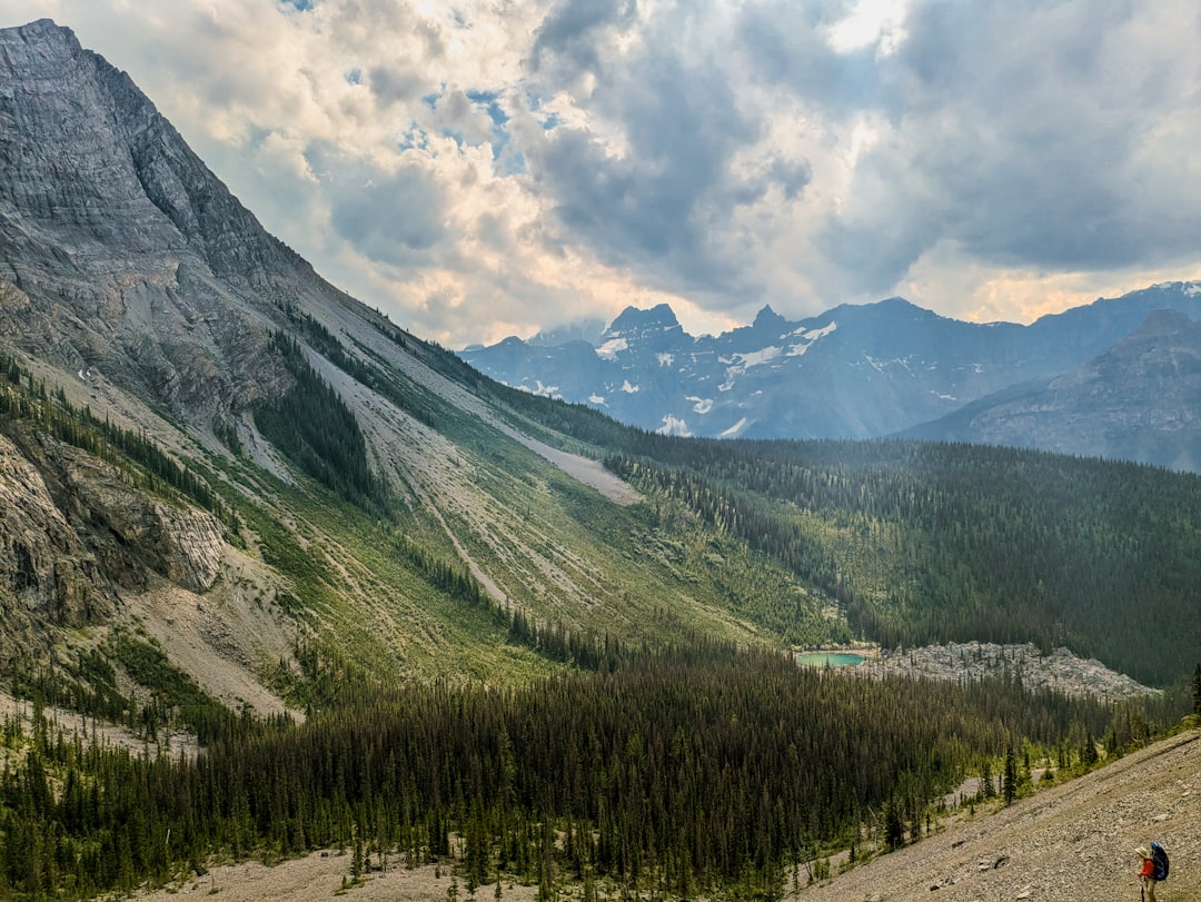 Kananaskis Trail: senderos alpinos entre osos y lagos - Kananaskis | Secret World Trip Planner