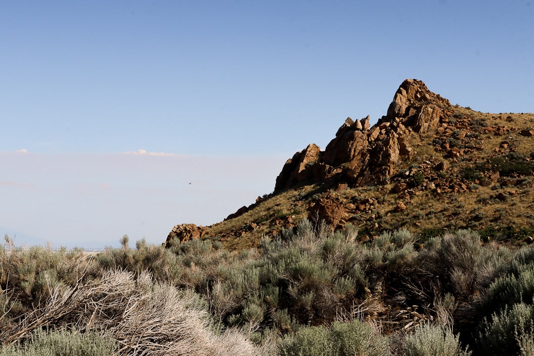 Senderos de Antelope Island: bisontes y aguas rosas - Syracuse | Secret World Trip Planner