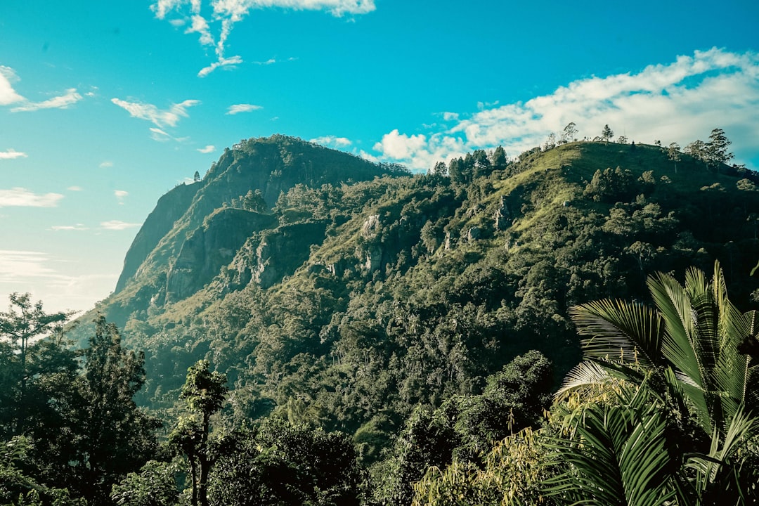 Le Pic de Petit Adam : panoramas au lever du soleil sur Ella - Ella | Secret World Trip Planner