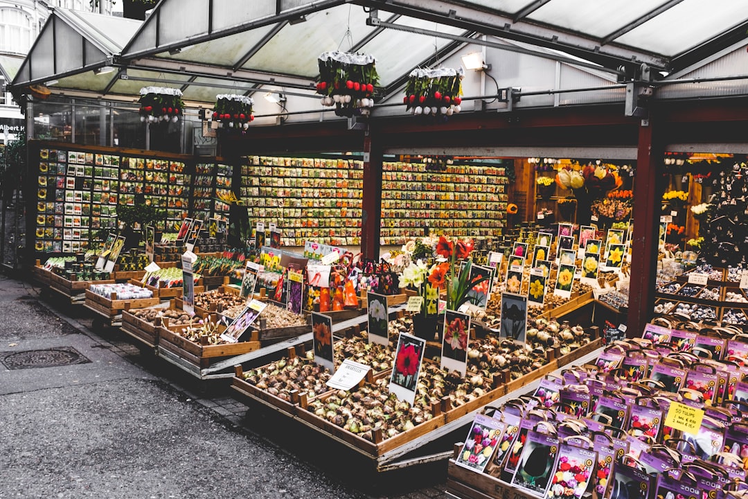 Blumenmarkt in Amsterdam: Der schwimmende Tulpenmarkt - Singel 630 | Secret World Trip Planner