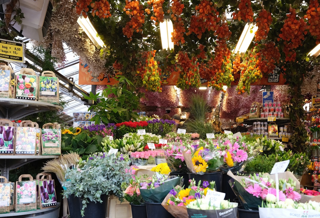 Blumenmarkt in Amsterdam: Der schwimmende Tulpenmarkt - Singel 630 | Secret World Trip Planner