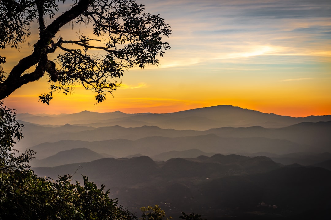 Entdecke Doi Pui: ein Naturjuwel in Thailand - Mae Rim District | Secret World Trip Planner