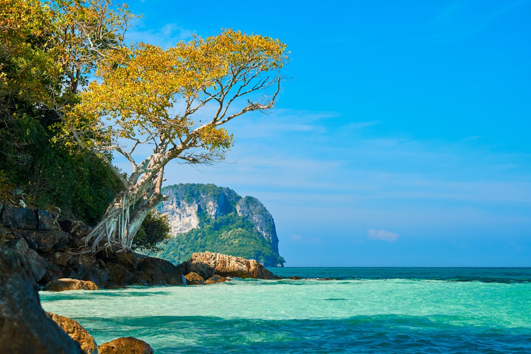 Entdecke Khao Khiao: Ein Naturparadies in Thailand - Pak Phli District | Secret World Trip Planner