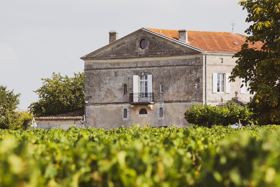 Château Ksara: vini e cantine romane nel Libano - Ksara | Secret World Trip Planner