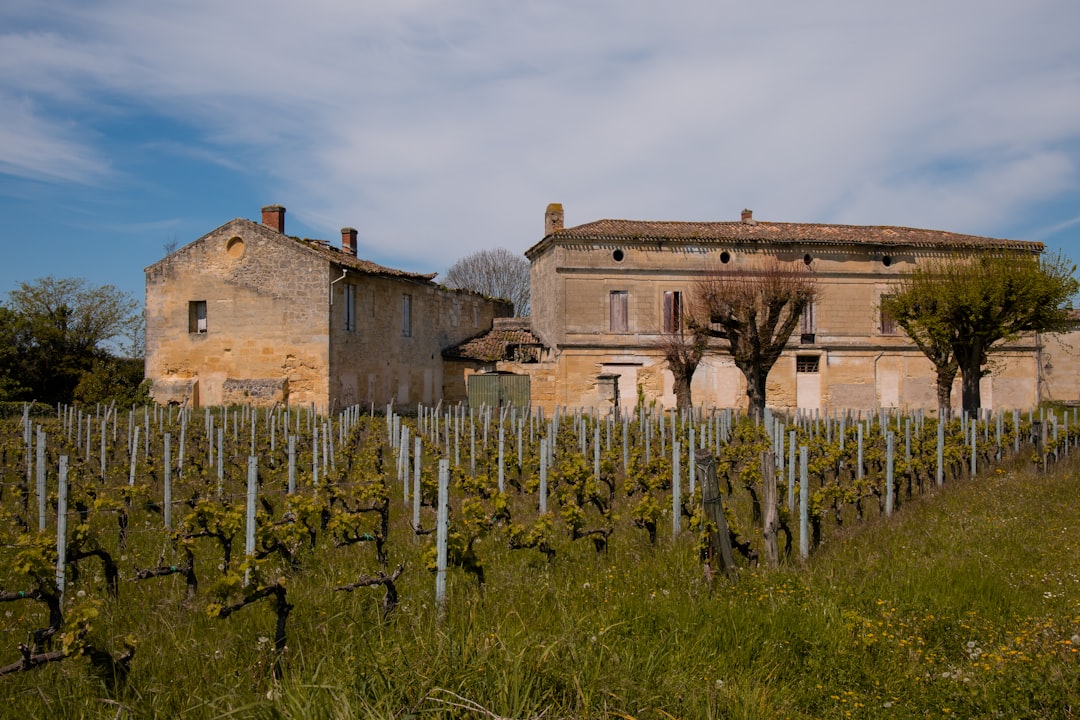 Château Ksara: vinos y bodegas romanas en Líbano - Ksara | Secret World Trip Planner
