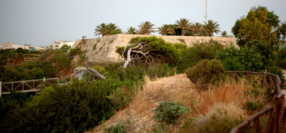 Observatorio de Skinakas: estrellas sobre el Monte Ida - Department of Physics | Secret World Trip Planner