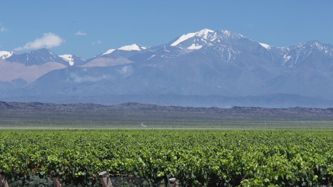 Mendoza Wine Camp: Malbec ai piedi delle Ande - Primitivo de la Reta 992 | Secret World Trip Planner