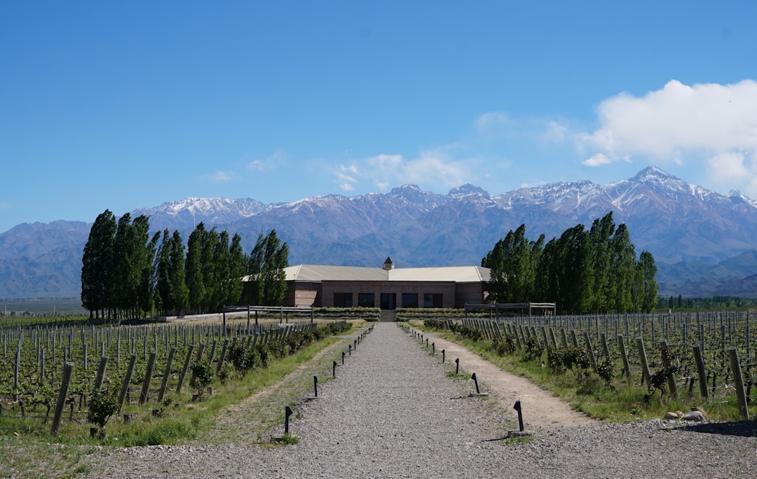 Campamento de Vino en Mendoza: Malbec a los Pies de los Andes — Primitivo de la Reta 992