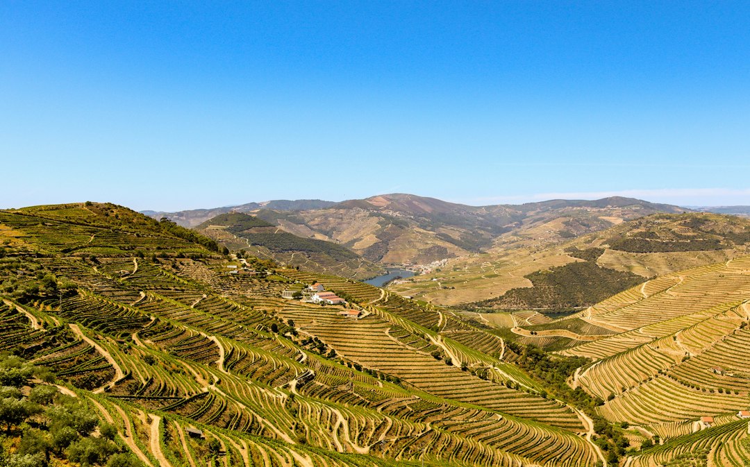 Vini del Douro: la Valle del Porto a Peso da Régua | Secret World Trip Planner