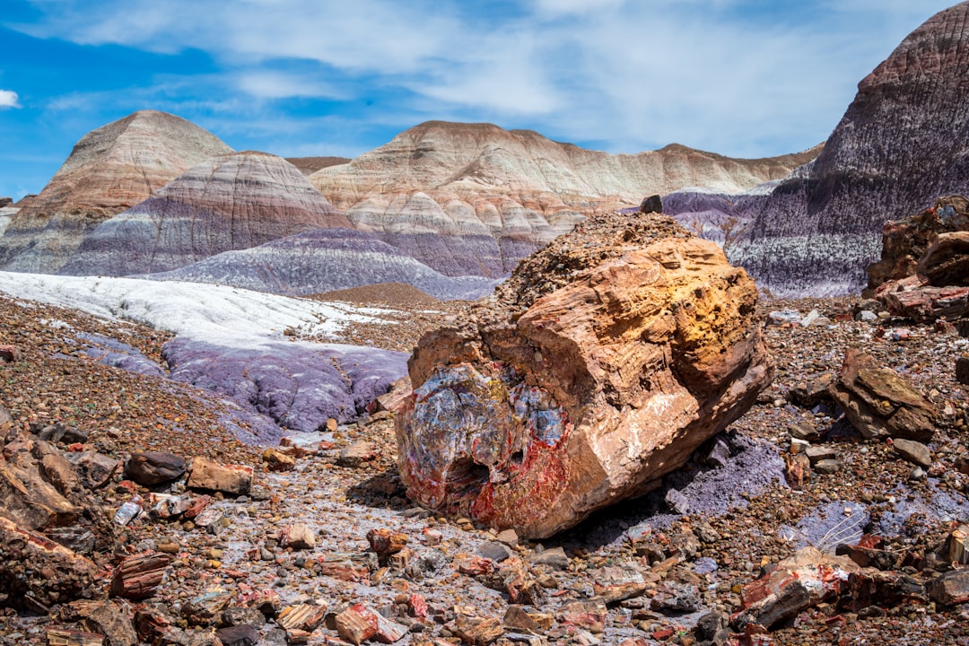 Foresta Pietrificata di Sigri: panorami sull'Egeo - Sigri | Secret World Trip Planner