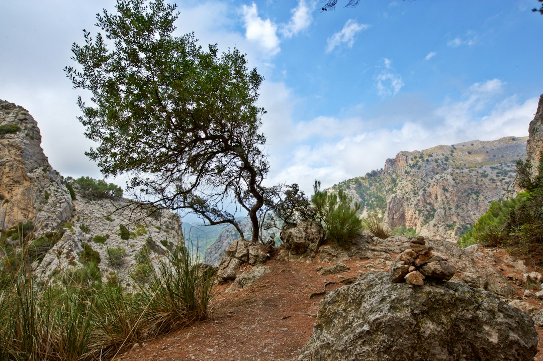 Mirador de ses Puntes: il panorama segreto di Valldemossa - 07170 Valldemossa | Secret World Trip Planner