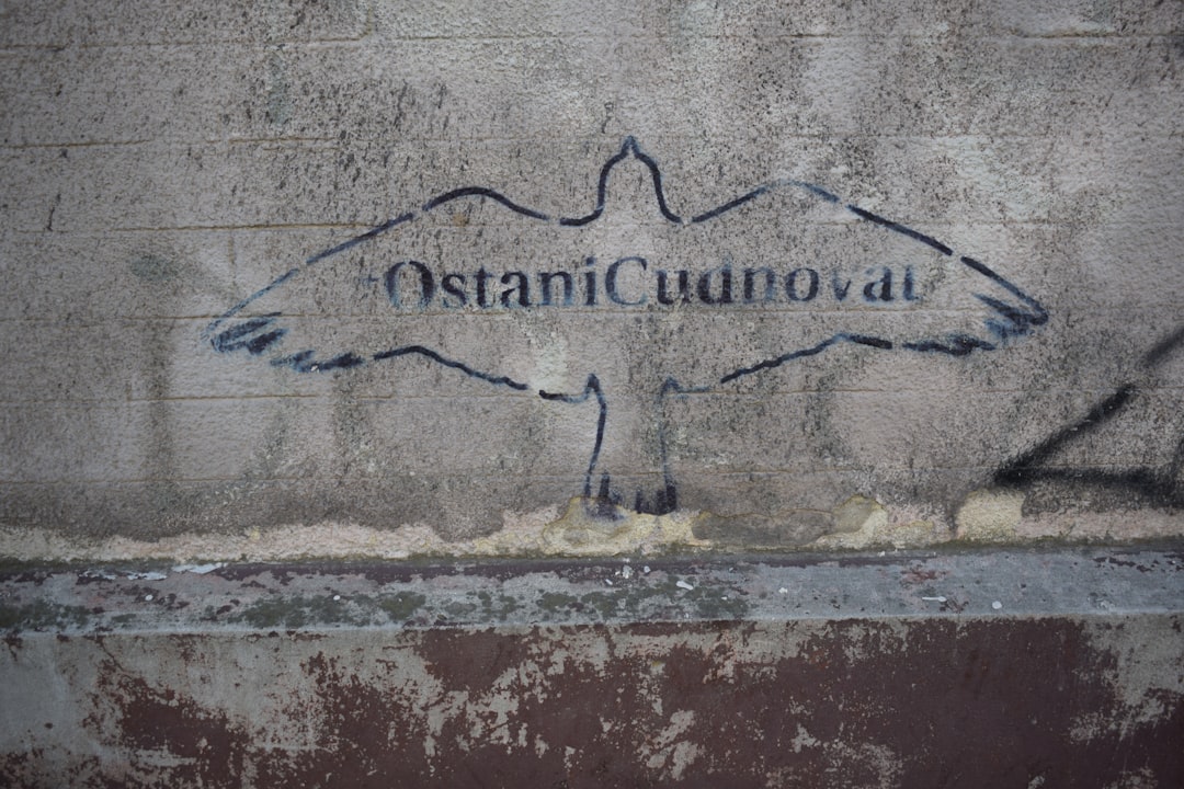 Domaine Economou: vini di culto a Sitia, Creta - Ziros (plateau Ziros) | Secret World Trip Planner