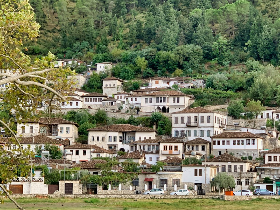 Lapidar : Un Voyage dans le Temps entre Fossiles et Histoire - Çerenec i Poshtëm | Secret World Trip Planner