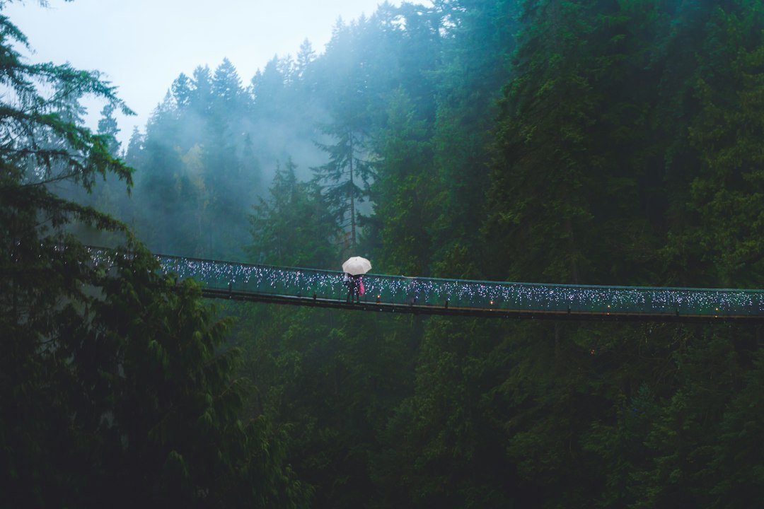 Pont de Capilano : 70 mètres au-dessus de la rivière - North Vancouver | Secret World Trip Planner