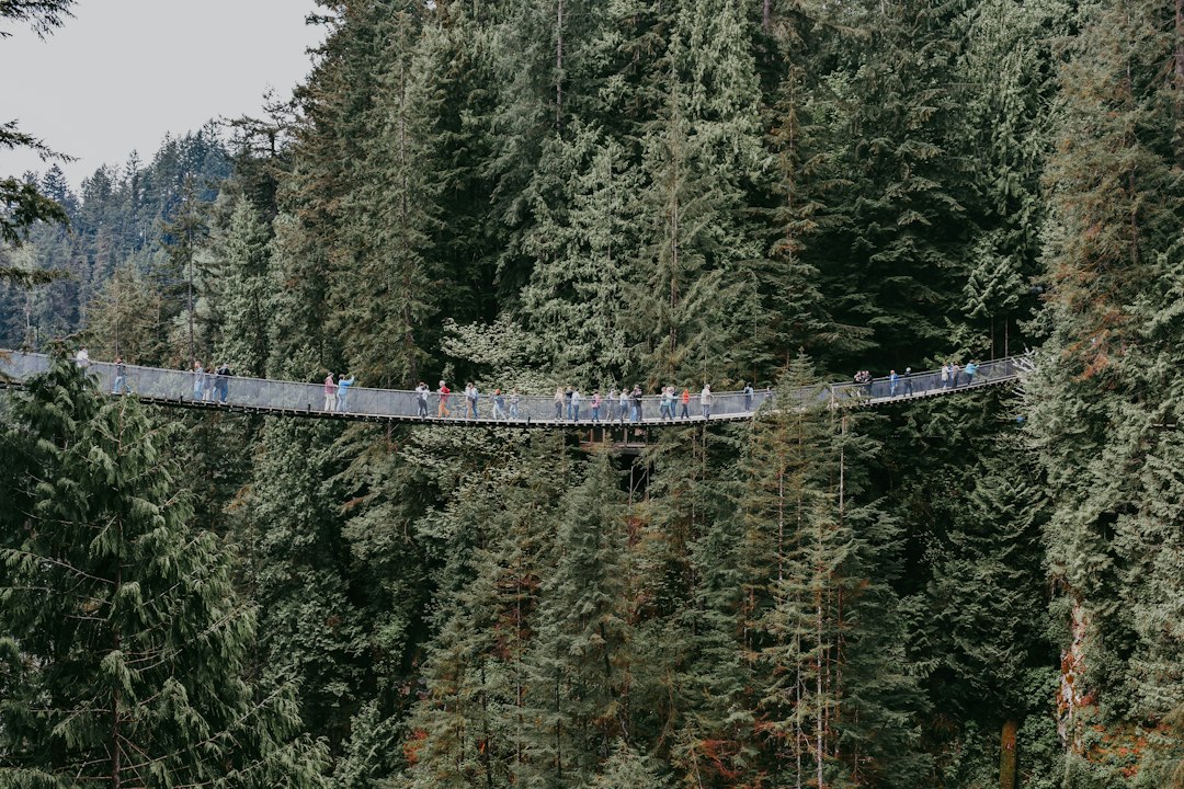 Pont de Capilano : 70 mètres au-dessus de la rivière - North Vancouver | Secret World Trip Planner