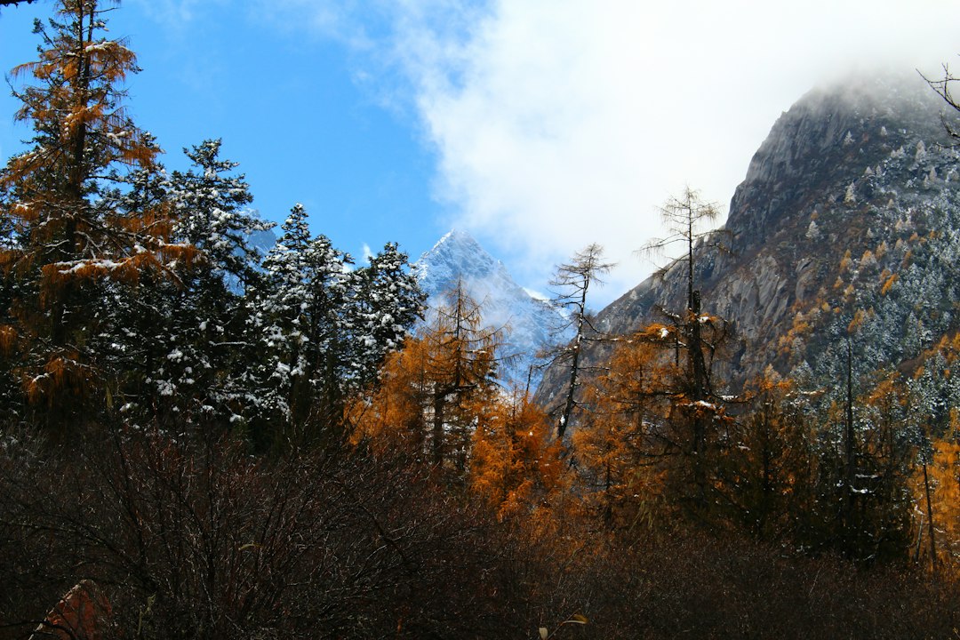 Lushan: las cascadas que inspiraron a los poetas Tang — Jiu Jiang Shi