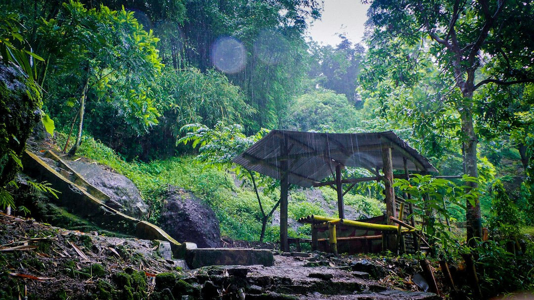 Udawatta Kele: la selva real sobre Kandy - Sangamitta Mawatha | Secret World Trip Planner