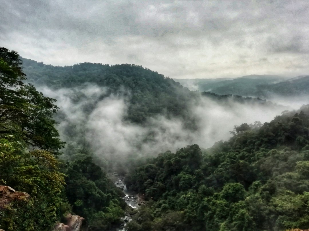 Udawatta Kele: la selva real sobre Kandy - Sangamitta Mawatha | Secret World Trip Planner