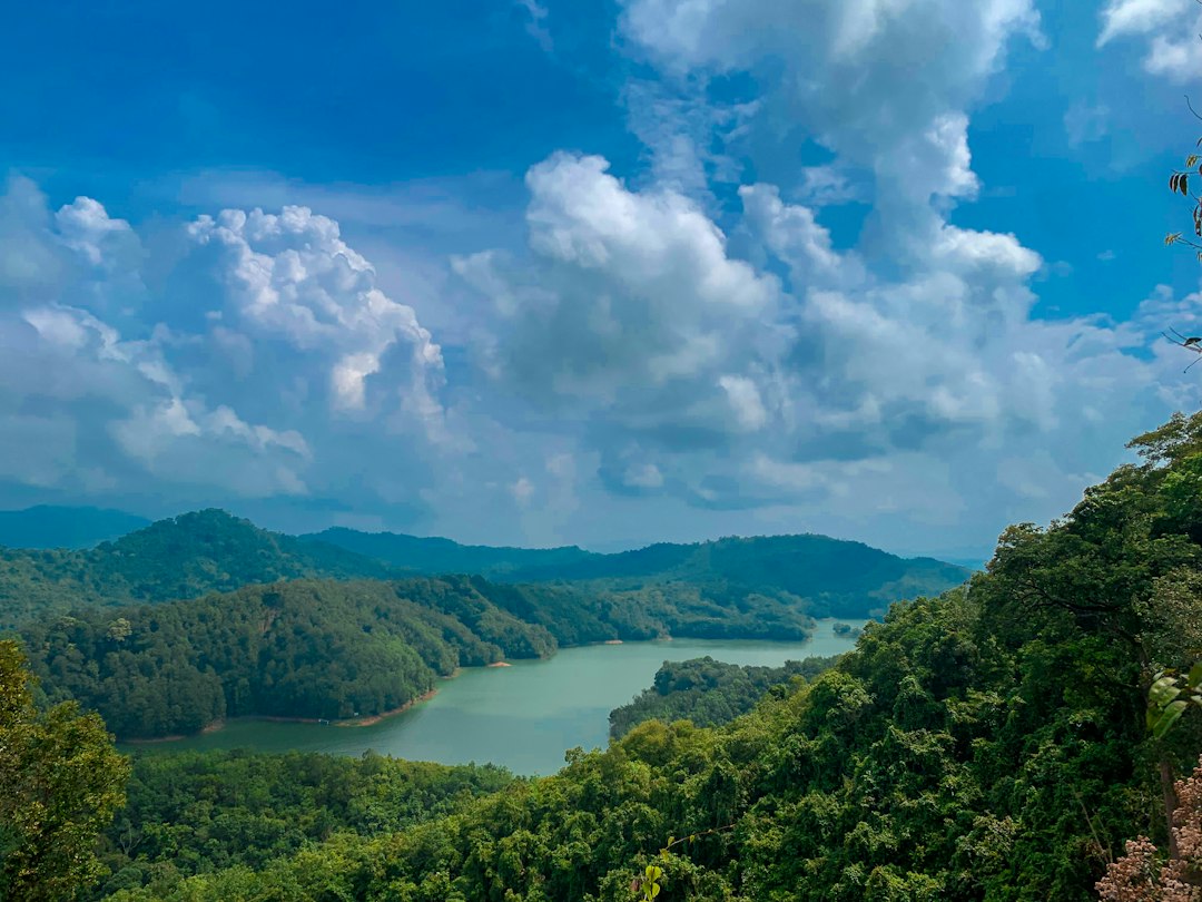Udawatta Kele: la selva real sobre Kandy - Sangamitta Mawatha | Secret World Trip Planner