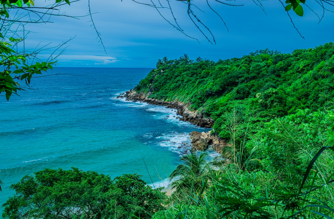 Playa Blanca a Barú: la spiaggia bianca dei Caraibi colombiani - Cartagena de Indias | Secret World Trip Planner