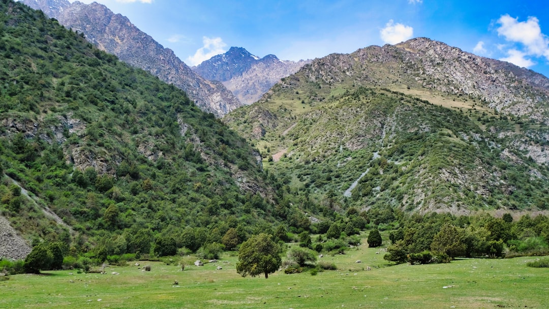 Parc national d'Ichkeul : oiseaux et nature en Tunisie - 13 P11 | Secret World Trip Planner