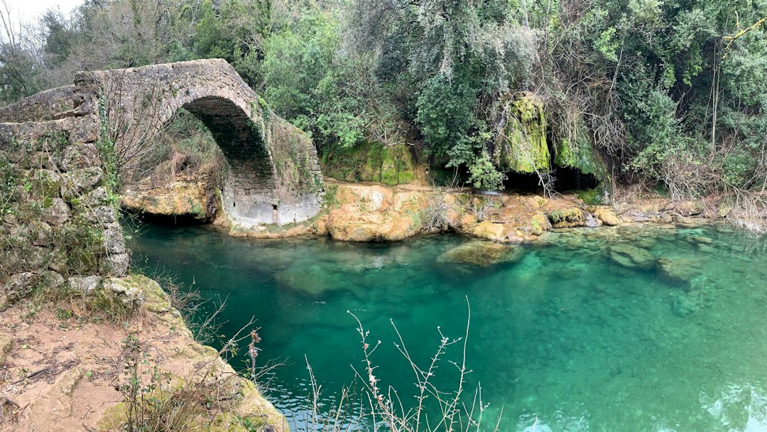 Parque Nacional de Ichkeul: aves y naturaleza en Túnez - 13 P11 | Secret World Trip Planner