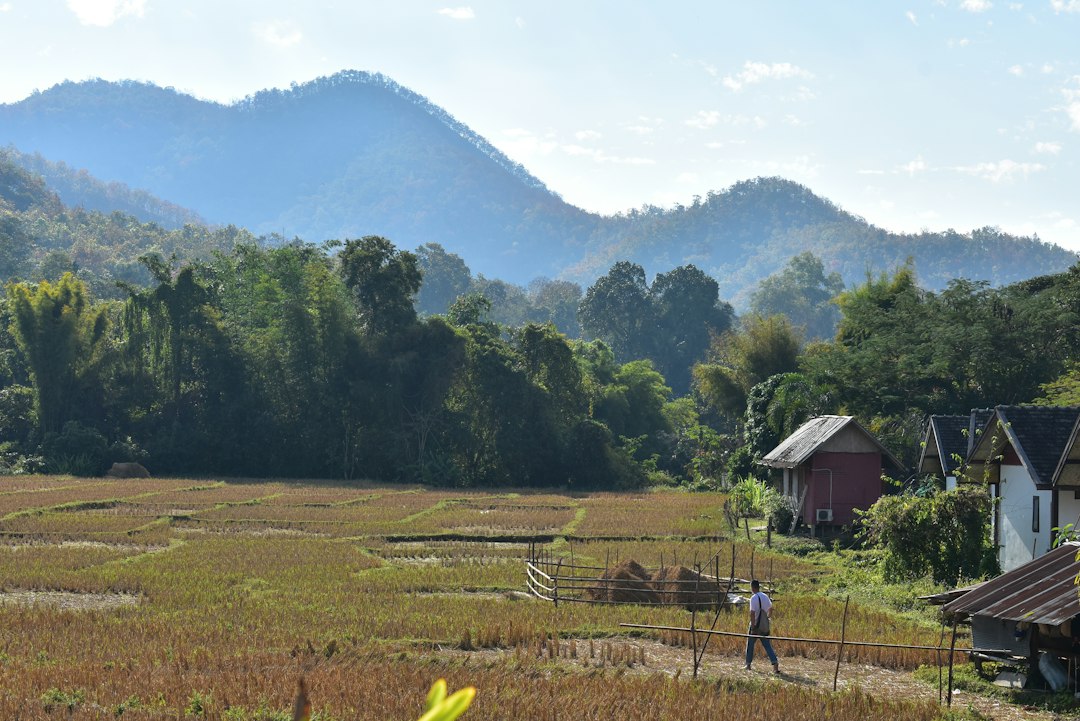 Doi Hua Mot : Un Paradis Naturel en Thaïlande - Umphang District | Secret World Trip Planner