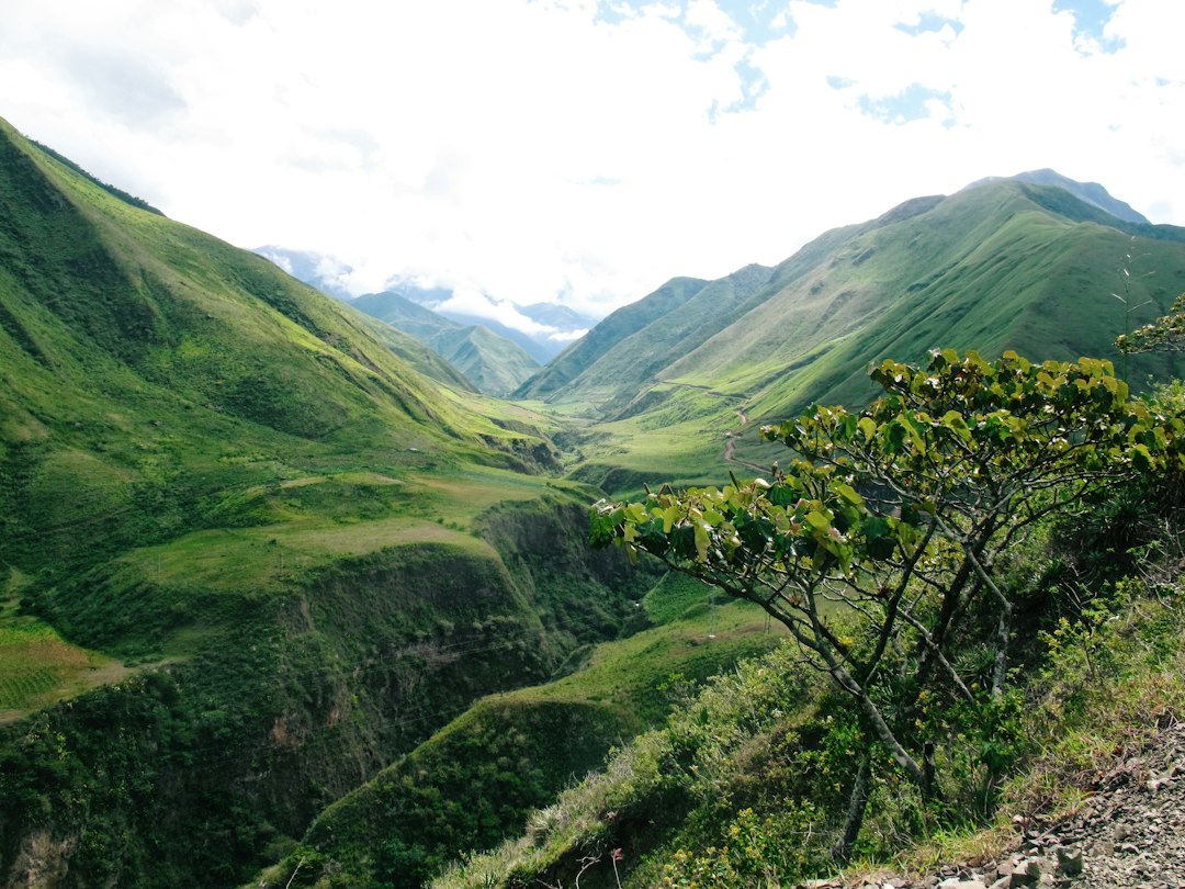 Guangotasín: an untouched nature corner in Ecuador - Huagrahuasi | Secret World Trip Planner