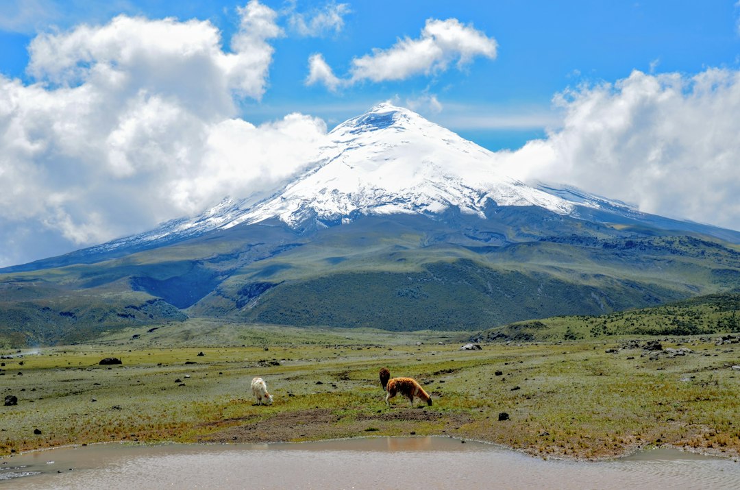 Guanchunangue: ein Naturjuwel in Ecuador - Tigre | Secret World Trip Planner