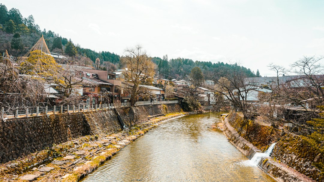 Edo Wonderland Nikko: l'arte del periodo Edo in scena - Nikko | Secret World Trip Planner
