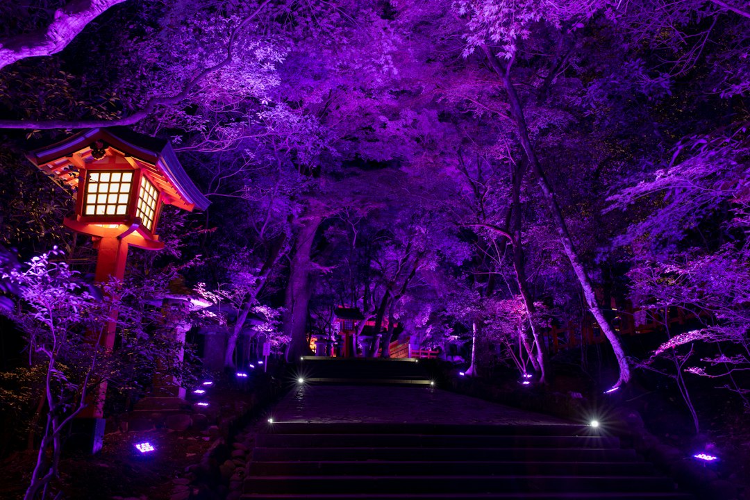 Edo Wonderland Nikko : l'art du Japon Edo en spectacle - Nikko | Secret World Trip Planner