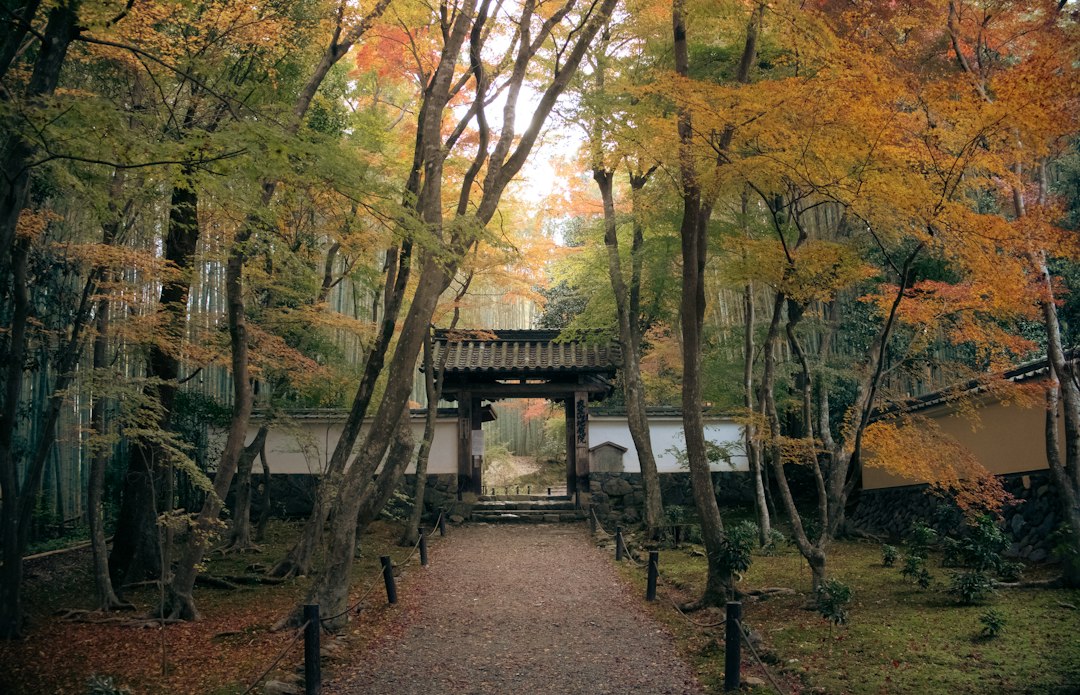 Edo Wonderland Nikko : l'art du Japon Edo en spectacle - Nikko | Secret World Trip Planner